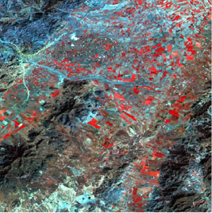Guadalentín Valley  (Spain) - Composite Landsat 421 [Author: Ezio Crestaz]
