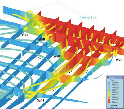 Visualizzazione 3D delle linee di flusso e della distribuzione delle concentrazioni saline in Feflow 5.2 FM3 [Autore: Ezio Crestaz]